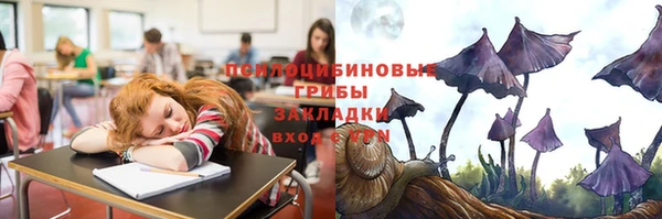 индика Покров