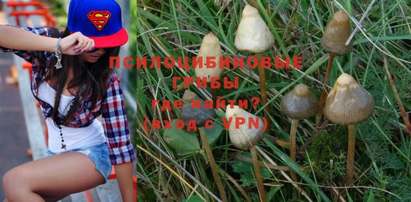 индика Покров