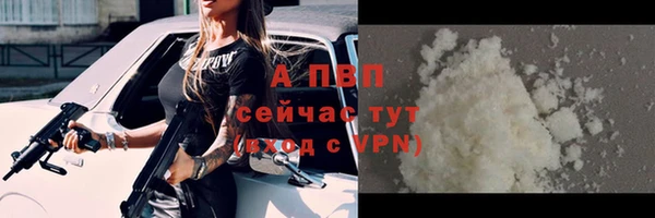 индика Покров