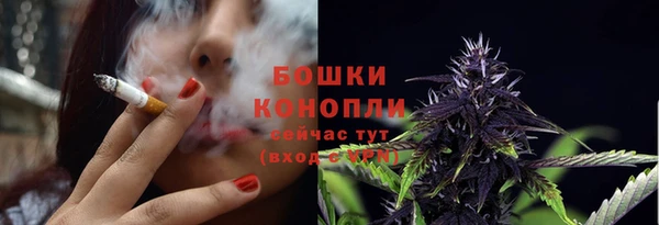 ALPHA PVP Покачи