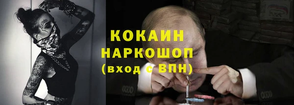 индика Покров