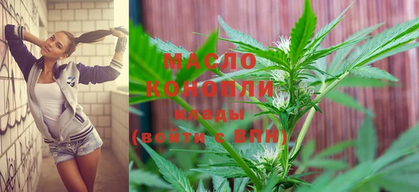 индика Покров