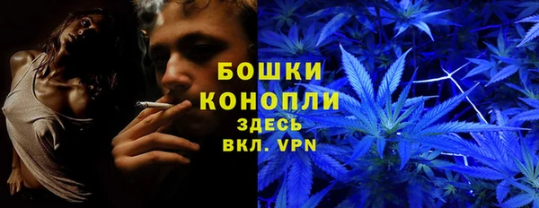ALPHA PVP Покачи