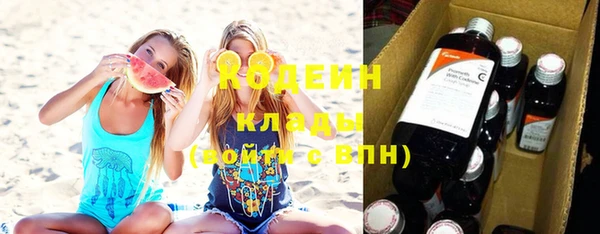 индика Покров